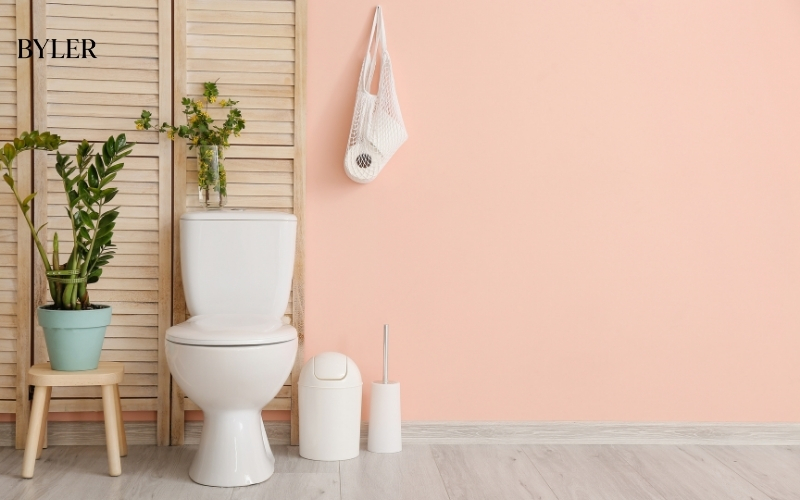 Tư vấn chọn mua Bồn cầu giá tốt