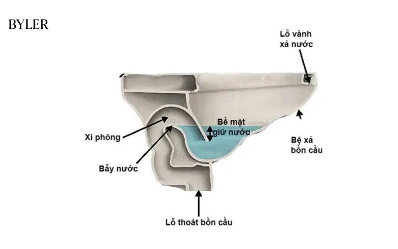 Cấu tạo chi tiết bên dưới lòng bầu