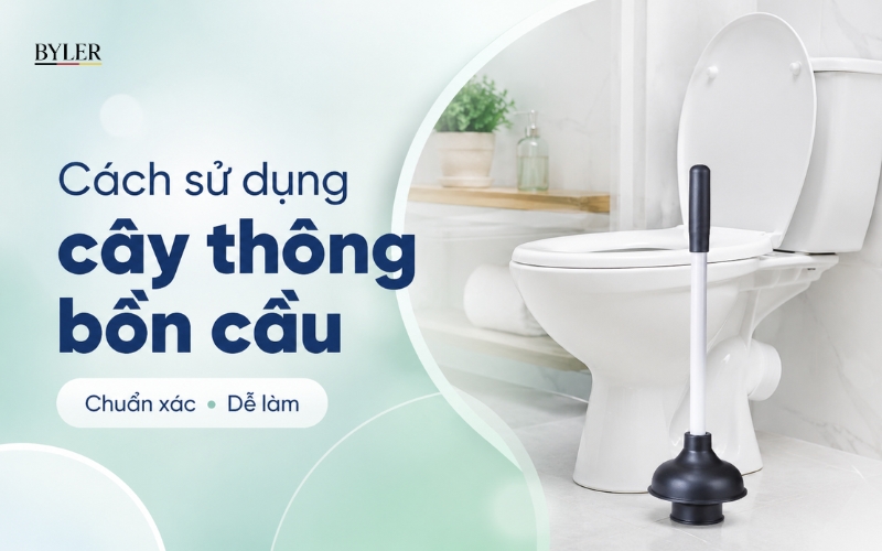 Cách sử dụng cây thông bồn cầu Cách sử dụng cây thông bồn cầu