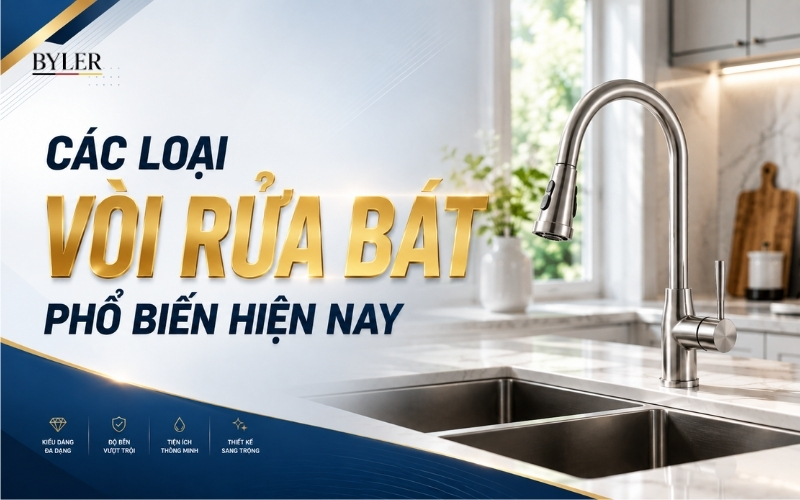 Các loại vòi rửa bát