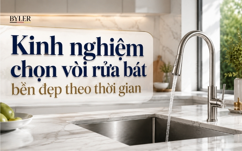 Kinh nghiệm chọn vòi rửa bát